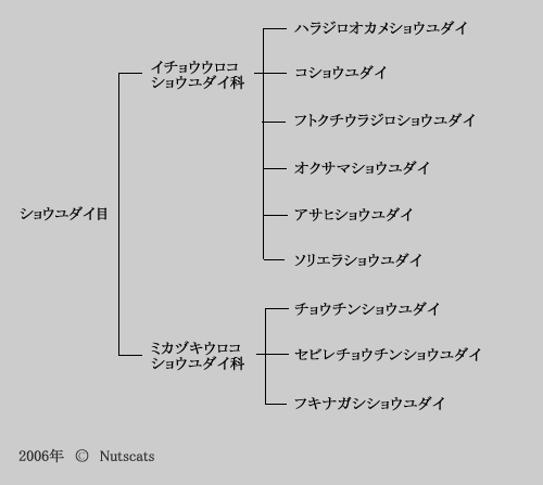 生物分類図